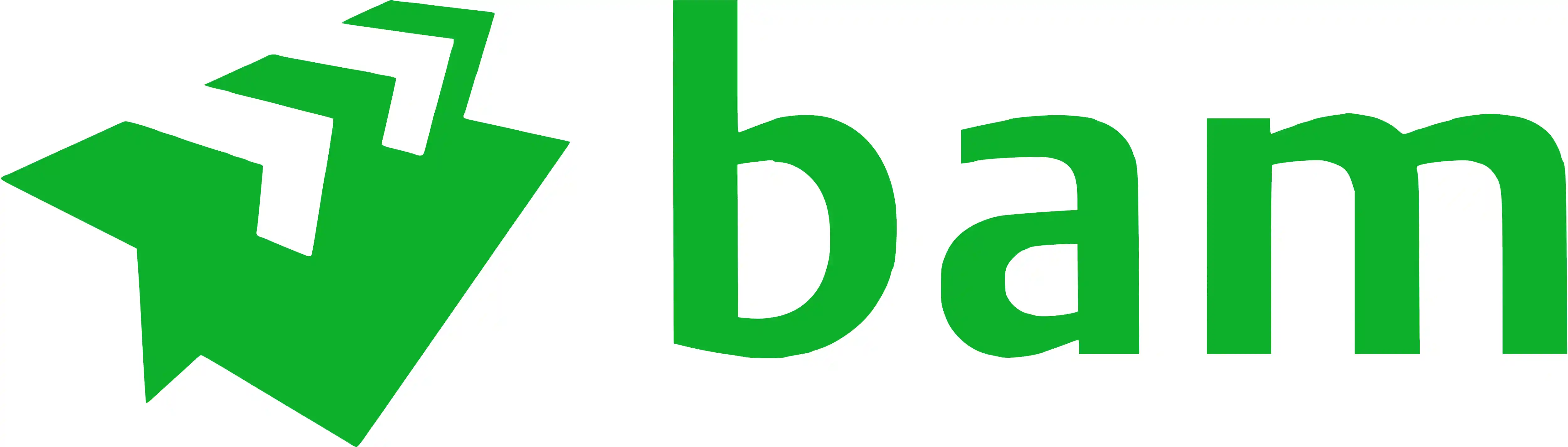 Bam Logo